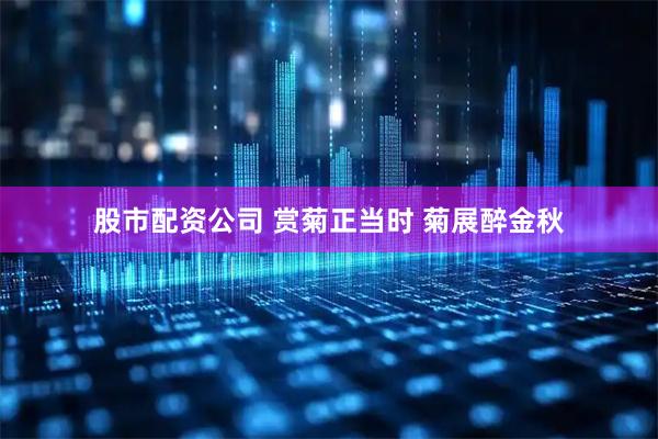 股市配资公司 赏菊正当时 菊展醉金秋